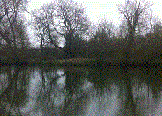 PEG 65 Pictures